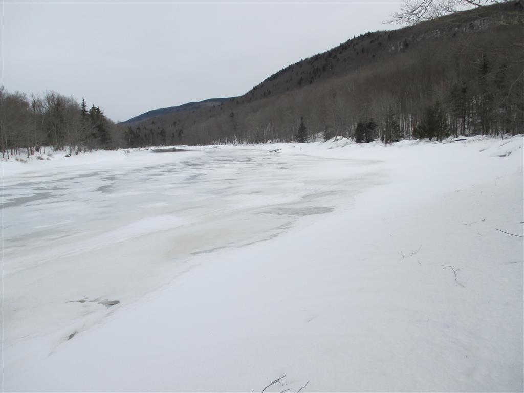 Photo by Marie Bartlett